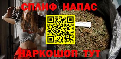 прущие грибы Севастополь
