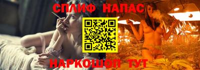 прущие грибы Севастополь