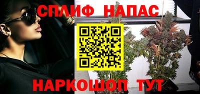 прущие грибы Севастополь