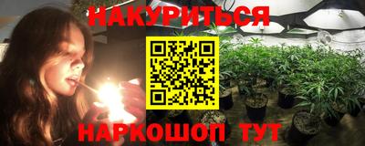 прущие грибы Севастополь
