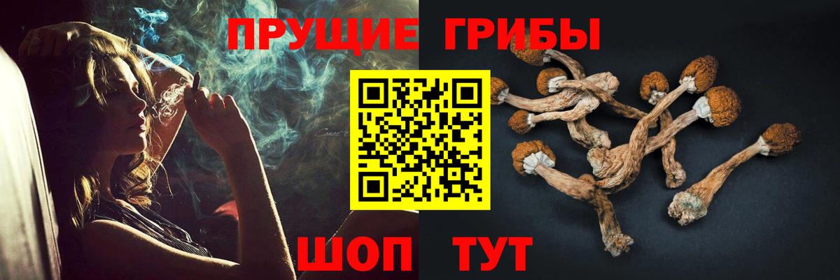 Галлюциногенные грибы GOLDEN TEACHER  Вход с VPN  Ступино 